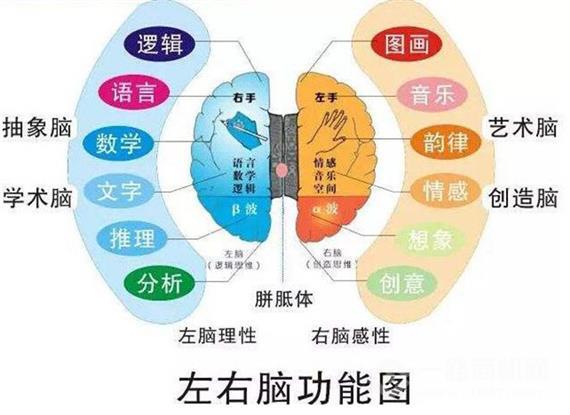 脑活力国际教育