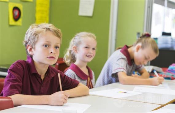 沃尔兹国际教育