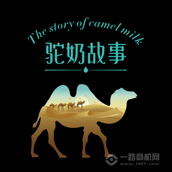 驼奶故事