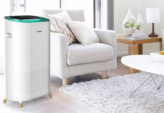 托马仕空品新风