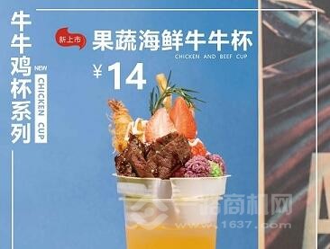 麦纳滋加盟 麦纳滋加盟