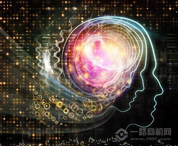 小逗号全脑开发