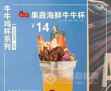 麦纳滋加盟 麦纳滋加盟