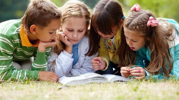 赛恩斯科学实验