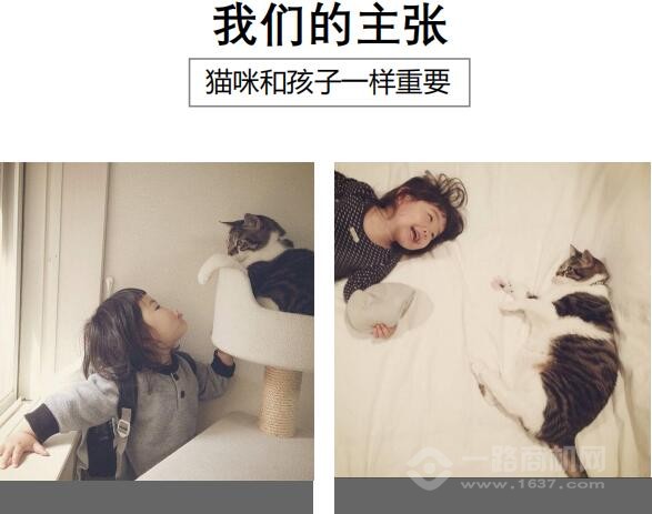 misskitty貓咖加盟