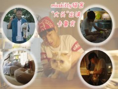 misskitty貓咖