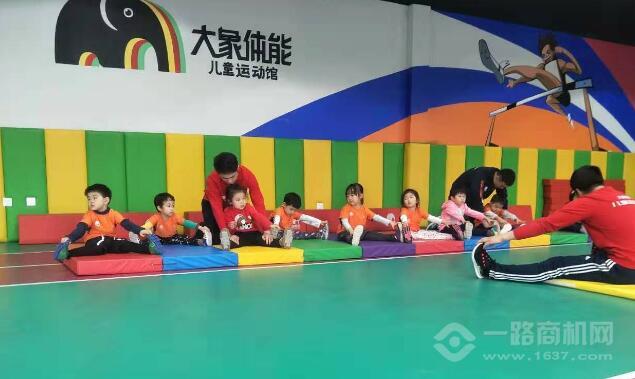 大象體能兒童運(yùn)動(dòng)館 大象體能兒童運(yùn)動(dòng)館