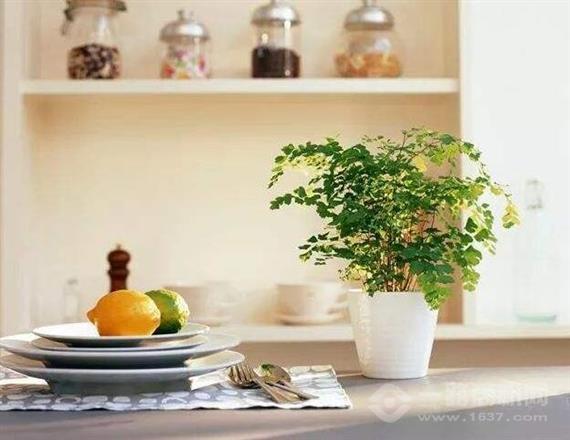 空气博士室内空气治理