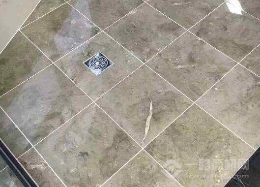 金诚冠力美缝剂