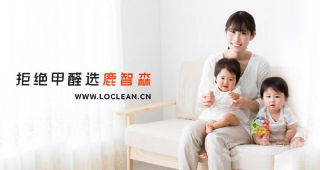 鹿智森除甲醛加盟