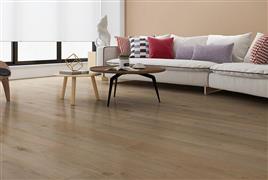 夢(mèng)之巢地板