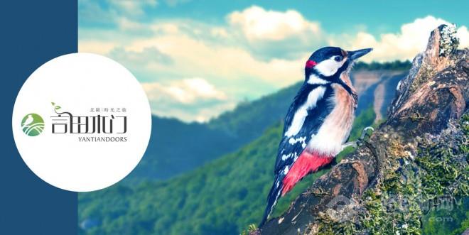 言田木门 言田木门