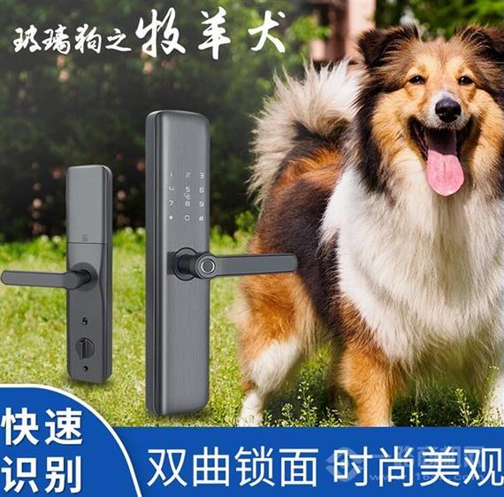 玻璃狗智能锁