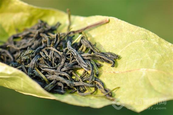 芸茗茶叶