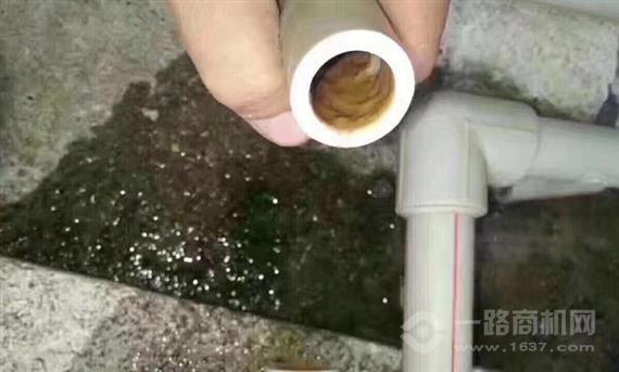 米米水管清洗专家