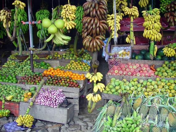 大水牛市民农园