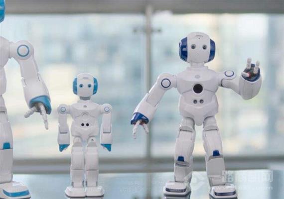 熊小子机器人教育