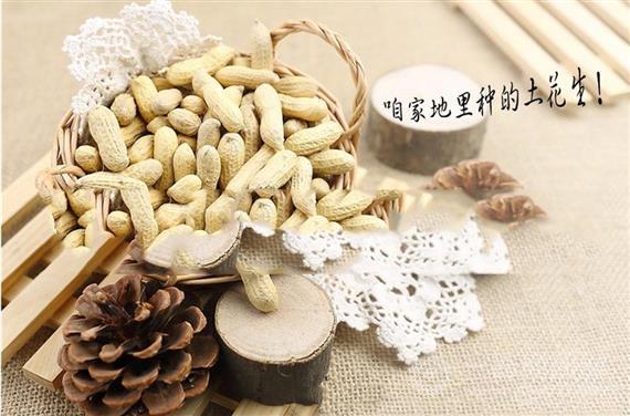 大口小口零食店