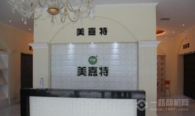 美嘉特活性炭背景墙