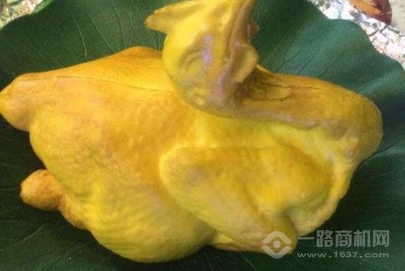 吴老头黄泥叫花鸡