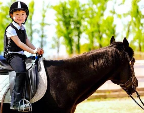 快乐小马儿童马术教育