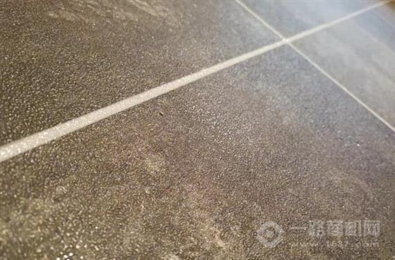 尚工名匠美缝剂