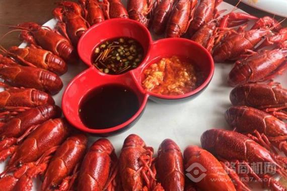 煌飛红小龙虾