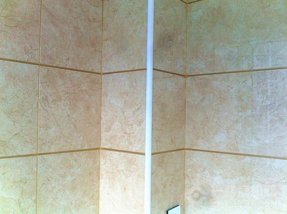 金牛纳米美缝剂