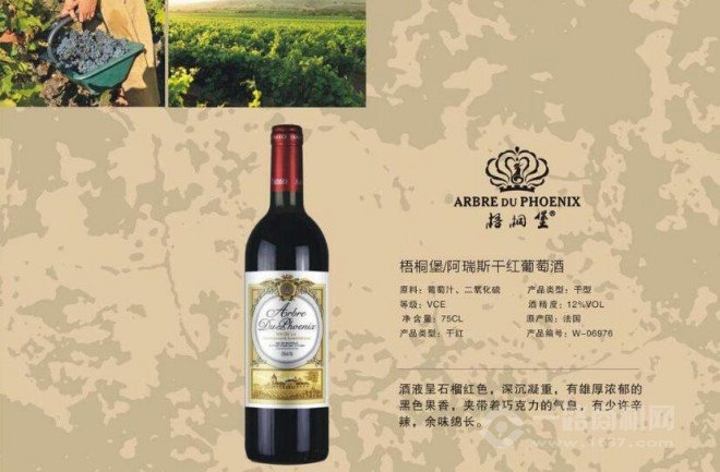 棉花熊母嬰加盟