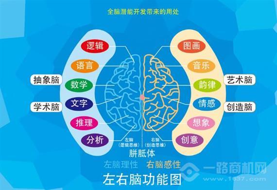 优能贝贝脑潜能开发