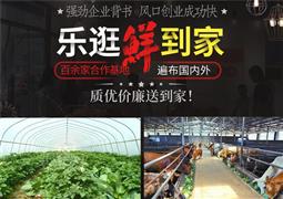 乐逛火锅烧烤食材