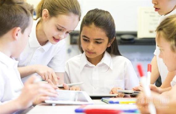 蜗牛上树国际教育