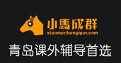 小马成群教育