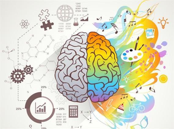 卡睿特国际全脑教育