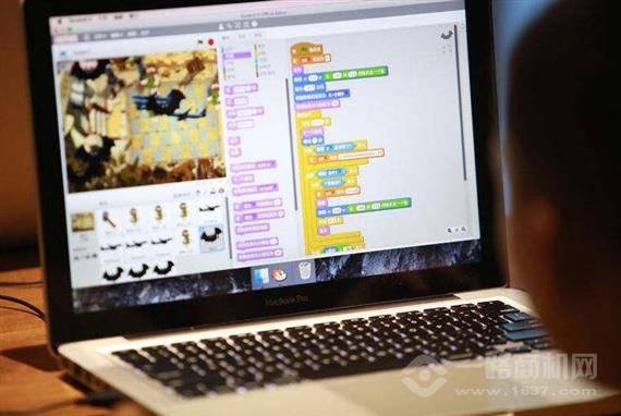 码枫青少儿编程