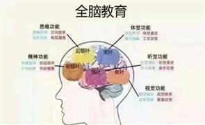 新智慧全脑教育