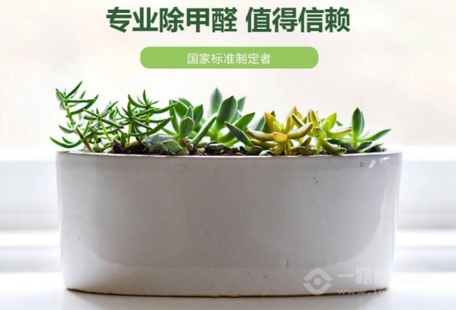 康麗萊空氣凈化加盟