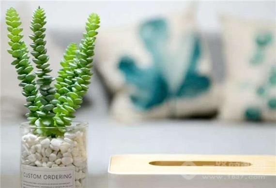 宁馨净化除甲醛