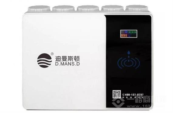 迪曼斯顿净水器