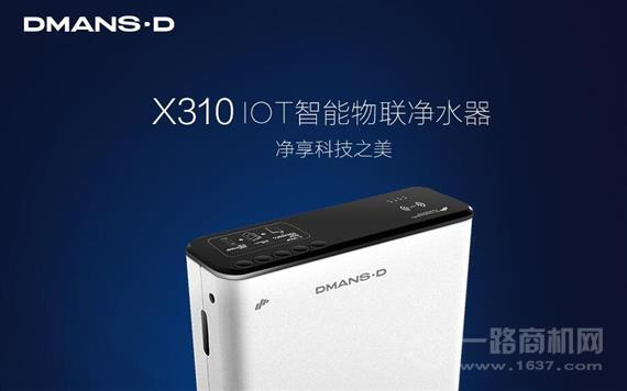 迪曼斯顿净水器