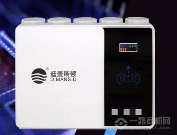 迪曼斯顿净水器