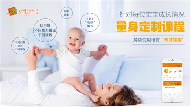 海苔宝贝早教加盟