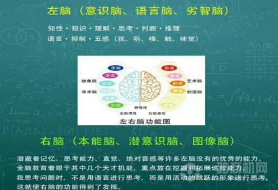 博士帽右脑潜能开发