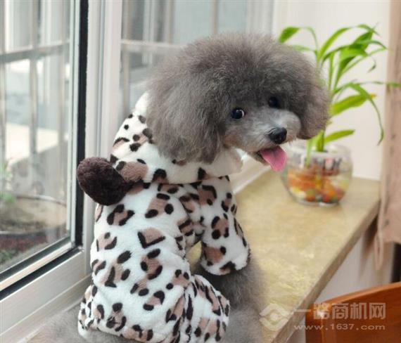 宠爱它宠物用品店