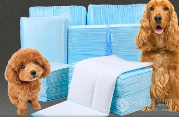 宠爱它宠物用品店