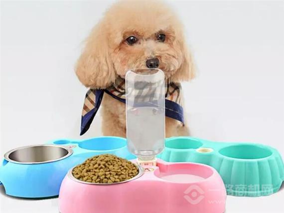 宠爱它宠物用品店