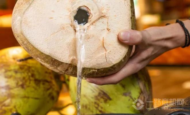 湯之鮮豬肚雞椰子雞加盟