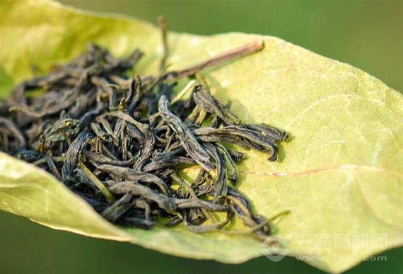康乐福茶叶