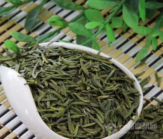 绿茗春茶业