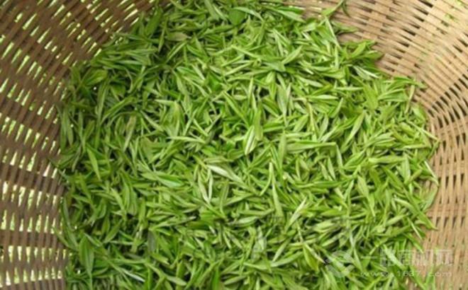 黑美人茶叶加盟 黑美人茶叶加盟